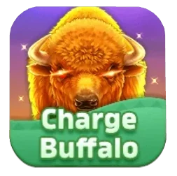 chargeBuffalo